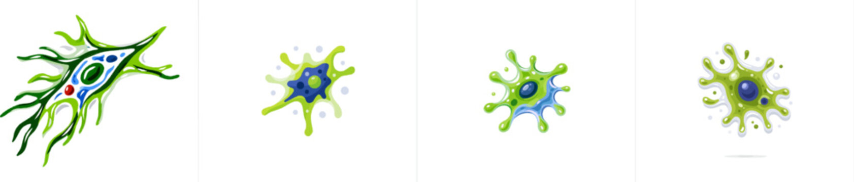 A single amoeba cell under a microscope reveals intricate details such as pseudopods, nucleus, contractile vacuole, and cytoplasm in translucent green and blue hues against a solid white background