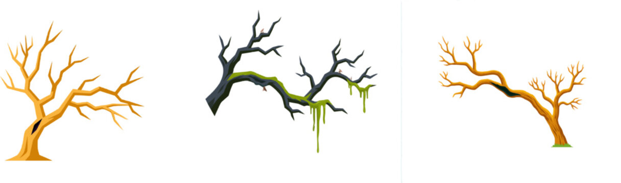 A gnarled, twisted tree branch displays a dark, sunken fire blight canker against a stark white background
