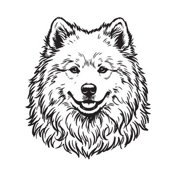 Smiling samoyed dog head line art illustration