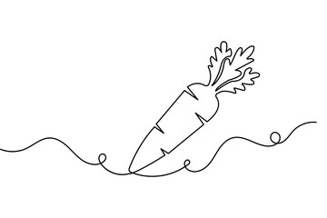 Obraz premium Carrot vegetable one line art minimalist contour vector illustration