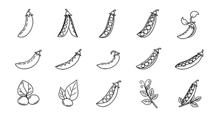 Obraz premium Hand Drawn Pea Pod Collection with Fresh Vegetables Leaves and Botanical Elements