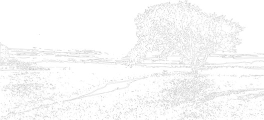 Fototapeta premium Stylized line landscape with a large tree and rolling hills under a bright sky line nature