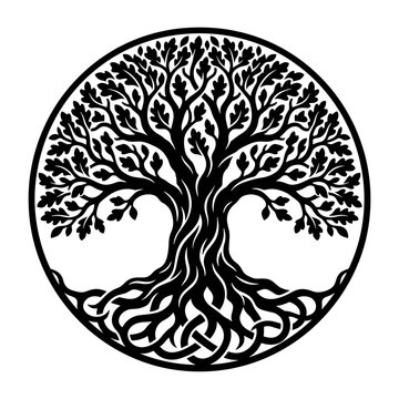 vector black celtic knotwork round oak tree icon on transparent background