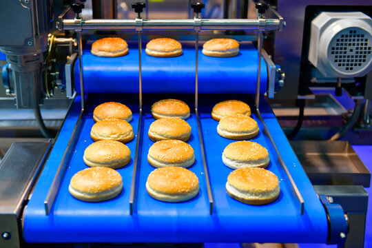 Modern industrial bakery production machinery manufacturing fresh hamburger buns in factory plant