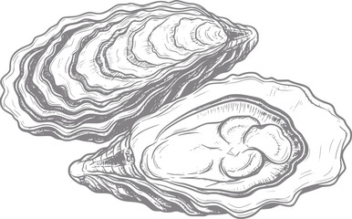 Hand-drawn of two oysters, one open and one closed © Rifat