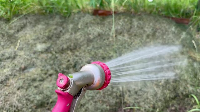 First-person view (POV) of watering a pile of mown grass and hay with a garden hose spray gun.