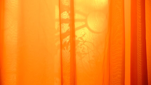 Summer solstice bathes the room in a magical light. Soft rays of sunlight stream through a sheer, transparent curtain, diffusing into a warm, golden glow that fills the cozy bedroom. Atmospheric mood