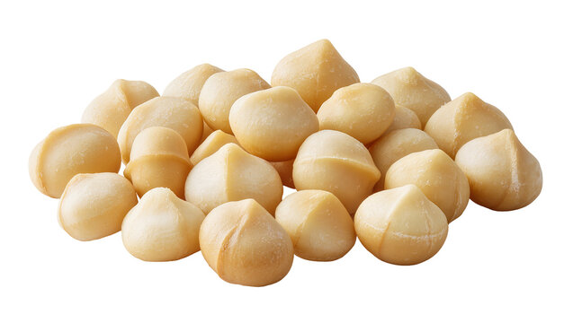Pile of shelled macadamia nuts