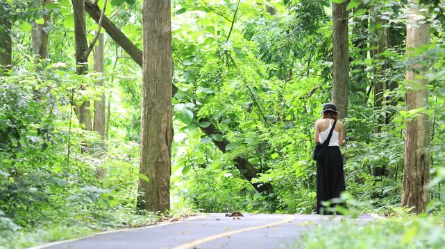 The video background features a natural landscape of a waterfall in a lush forest. Sam Lan Waterfall in Saraburi National Park boasts beautiful flowing water surrounded by diverse flora.