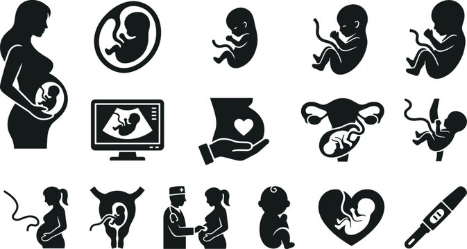 Pregnancy and fetal development solid icon set containing human embryo symbols, prenatal ultrasound graphics, maternal healthcare elements, and newborn vector silhouettes