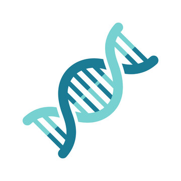 DNA Double Helix Structure Model.