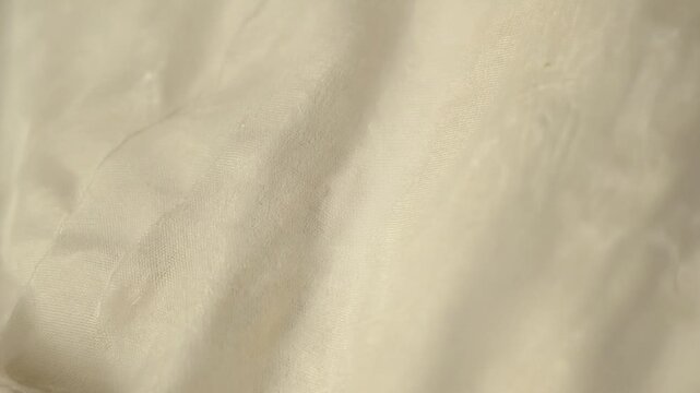Bed bug in a bed.