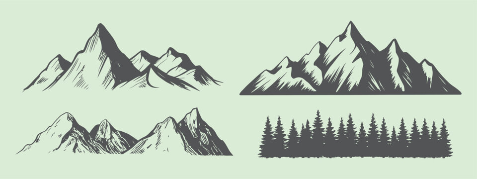 Mountain range silhouettes and coniferous forest sketched vector illustration
