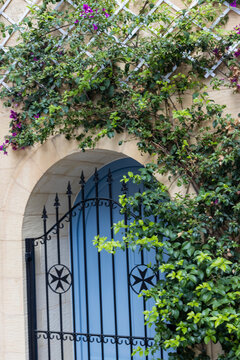 Blue Arched Door With Wrought Iron Gate and Climbing Bougainvillea on Stone Wall