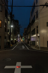 Fototapeta premium Quiet residential back street with overhead power lines and apartment buildings at blue hour, Tokyo, Japan