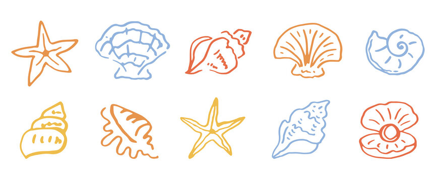 Sea shell elements set starfish, clam, conch icons