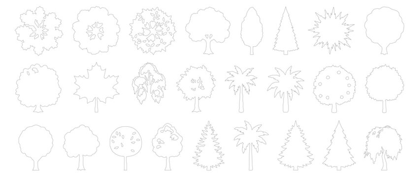 Minimalist tree outline icons set, 24 thin line vector tree symbols, simple nature landscape elements for architectural site plans and web design