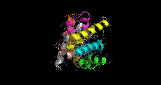 Insulin Detemir, long-acting basal insulin analog, 3D molecule spinning 4K
