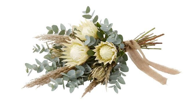 Boho wedding bouquet with white king protea flowers, dried pampas grass and eucalyptus leaves, rustic bridal floral arrangement on white background