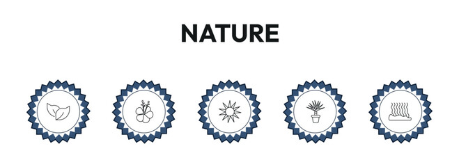 nature outline icon set. bilberry leaf, hibiscus, shining sun with rays, fasciculate and more. linear vector collection. editable stroke © Design_Farm