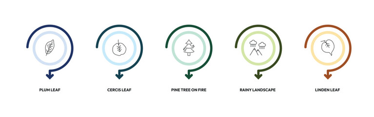 nature outline icon set. plum leaf, cercis leaf, pine tree on fire, linden leaf and more. linear vector collection. editable stroke © Design_Farm