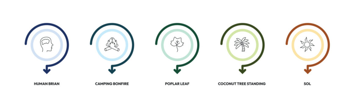 nature outline icon set. human brian, camping bonfire, poplar leaf, sol and more. linear vector collection. editable stroke