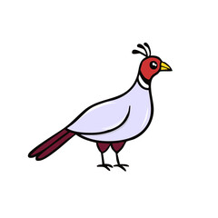 Fototapeta premium Cartoon Pheasant Bird with Red Head and Purple Feet Standing Isolated