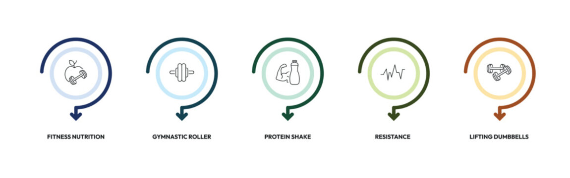 gym outline icon set. fitness nutrition, gymnastic roller, protein shake, lifting dumbbells and more. linear vector collection. editable stroke