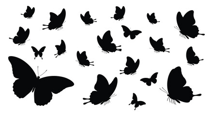 Black Butterfly Silhouettes On White Background A Delicate Pattern © Sonia512