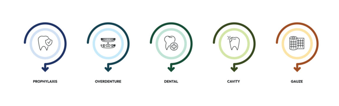 dentist outline icon set. prophylaxis, overdenture, dental, gauze and more. linear vector collection. editable stroke