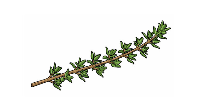 Hand-drawn illustration of a fresh green leafy branch with small foliage on a white background