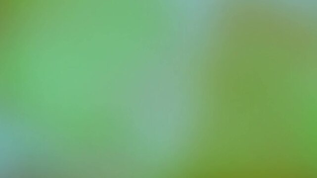 Abstract soft green and blue gradient background with smooth bokeh effect for natural minimalist design and spring theme projects