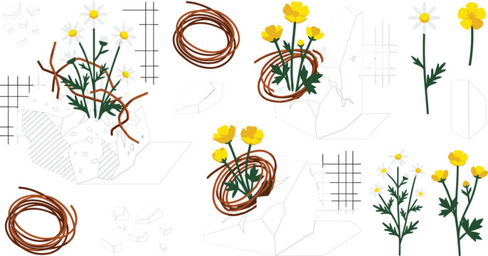 Isometric botanical vector set with yellow buttercup flowers white daisies brown nests rocks and architectural grid elementsIsometric botanical vector set with yellow 