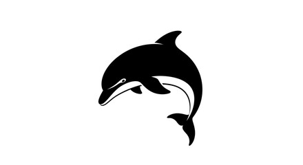 Black dolphin swimming in water. © aditya