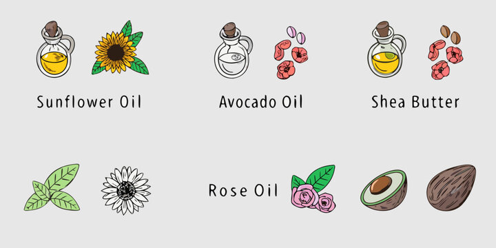 Sunflower oil avocado oil shea butter and rose oil vector illustrations