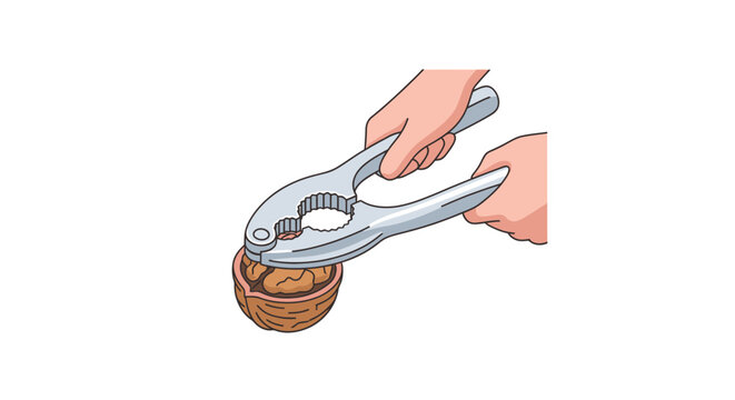 Hands using metal nutcracker to open a walnut shell.
