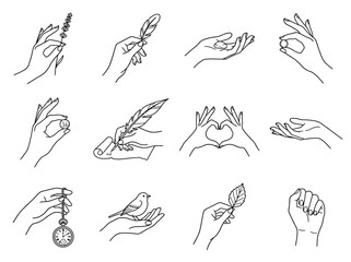 Fototapeta premium Elegant collection of hand line art illustrations featuring various delicate gestures and small symbolic objects
