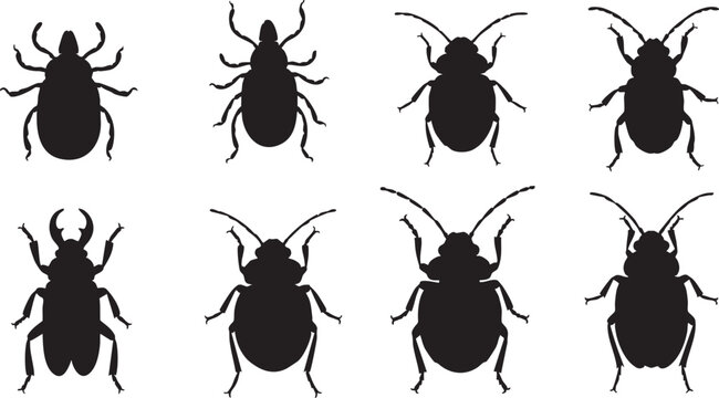 Black beetle silhouettes, insect icons, bug illustrations, vector graphics