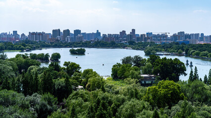 Fototapeta premium Urban Lake Park with City Skyline View