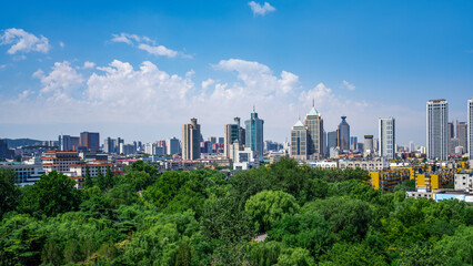 Fototapeta premium Urban Skyline with Dense Green Forest Under Clear Blue Sky