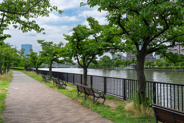 Fototapeta premium Riverside walking path with fresh green trees in Osaka Japan