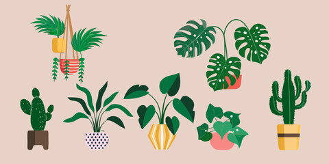 Houseplant Collection A Flat Vector Illustration With Green Foliage © Dipu