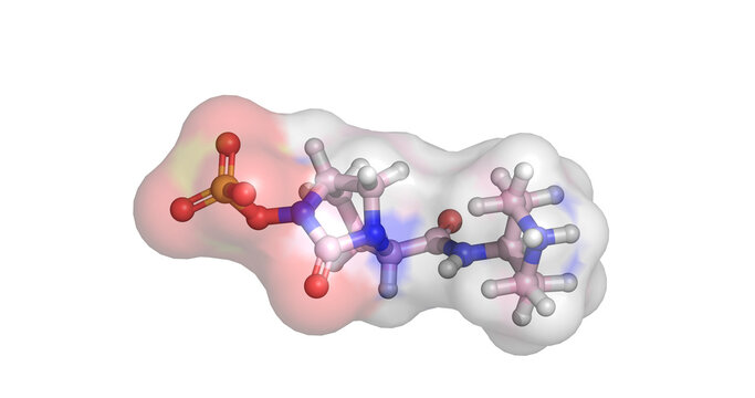 Relebactam, last line of defense beta-lactamase inhibitor drug for multi-drug resistant infections, 3D molecule 4K