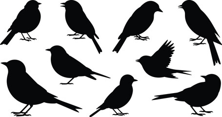 Fototapeta premium Black silhouettes of small birds in standing and flying poses for nature and design projects