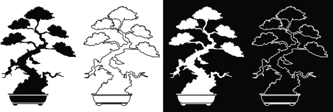 Tall gnarled pine bonsai tree collection with monochrome silhouette and outline style vector illustrations