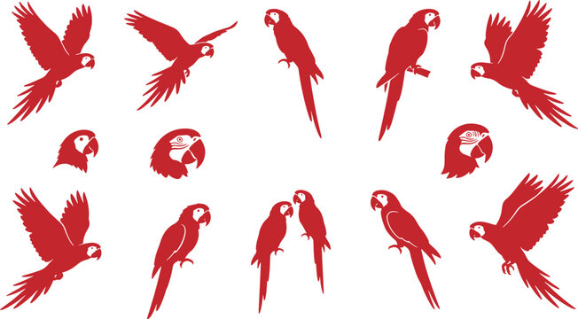 Red parrot silhouettes on white background with various poses and flying birds