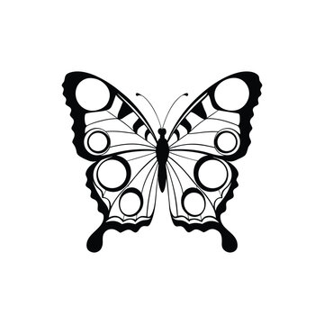 Black and white butterfly vector line art illustration, symmetrical monarch and peacock butterfly silhouette tattoo design isolated on white background
