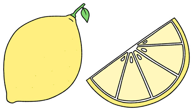Yellow lemon fruit illustration with a fresh sliced wedge and green leaf