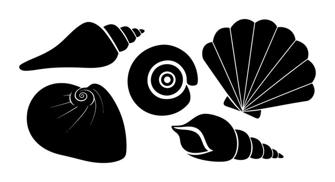 Elegant Black Silhouette Collection of Diverse Seashells.