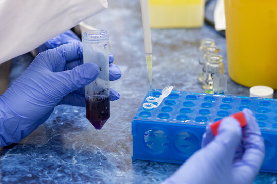Laboratory analysis of the quality of oil and petroleum products in the laboratory, a scientist doses a reagent with oil in a test tube.